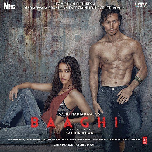Baaghi (2016) (Hindi)